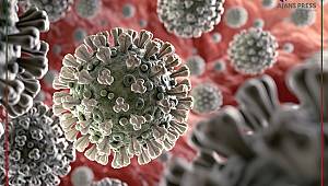 Koronavirüs Hakkında Çıkan Haber Sayısı 20 Milyona Yaklaştı 