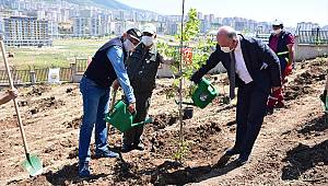 Kovid-19 ile mücadele eden sağlık çalışanları için 400 fidan dikildi 