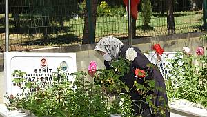 Şehit Annesinin İsteğini Başkan Okumuş Yerine Getirdi 