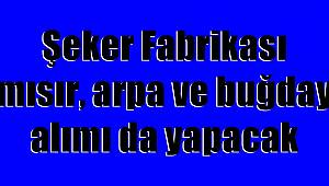 Şeker Fabrikası mısır, arpa ve buğday alımı da yapacak 