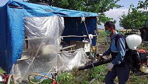 Büyükşehir ovalarda uçkunla mücadele ediyor 