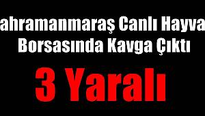 Canlı Hayvan Borsasında Kavga Çıktı: 3 Yaralı 