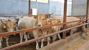 Destek Bizden Üretim Sizden 