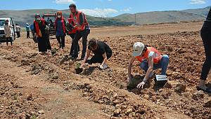 Elbistan'da sivil toplum kuruluşu üyeleri lavanta fidesi dikerek belediye çalışmalarına destek oldu 