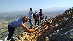 Nurhak Dağı'ndaki 2023 metrekarelik alana Cumhuriyetin 100'üncü yılı anısına ay yıldız işlendi 