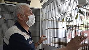 Pandemi sürecinde evcil hayvan sahiplenenlerin sayısı arttı 