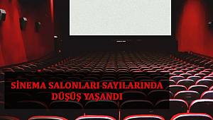 Sinema Salonları Sayılarında Düşüş Yaşandı 
