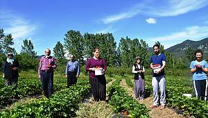 Tavsiye üzerine çilek bahçesi kurdu iş kadını oldu 