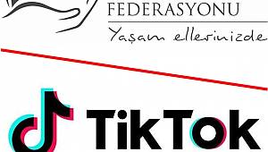 TikTok hayvanlara şiddete karşı HAYTAP ile el ele veriyor 
