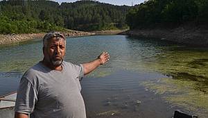 Toplu balık ölümlerine ilişkin inceleme başlatıldı 