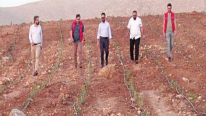 Türkiye’nin en büyük lavanta vadisini Elbistan ‘da kurmaya çalışıyoruz 