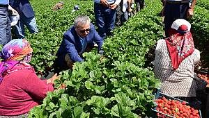 “Yerel Kalkınmaya destek olan projelerin arkasındayız” 