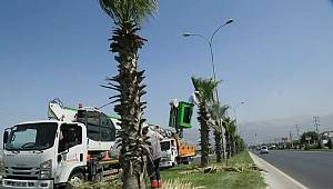 Yeşil alanların temizlik ve kalitesini artırma çalışmaları aralıksız devam ediyor 