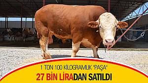 1 ton 100 kilogramlık 