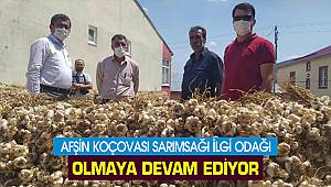 Afşin Koçovası Sarımsağı ilgi odağı olmaya devam ediyor