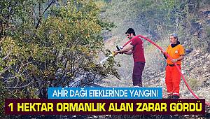 Ahir Dağı eteklerinde yangın!