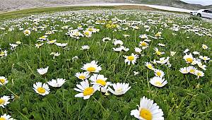 Ahir Dağı zirvesindeki göller dikkat çekiyor 