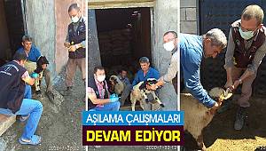 Aşılama çalışmaları devam ediyor 
