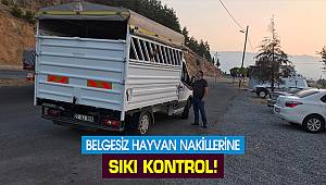 Belgesiz hayvan nakillerine sıkı kontrol!