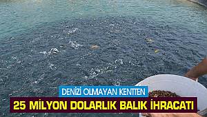 Denizi olmayan kentten 25 milyon dolarlık balık ihracatı