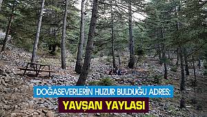 Doğaseverlerin huzur bulduğu adres: Yavşan Yaylası