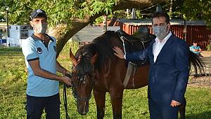 Elbistan Belediyesi atlı zabıta uygulamasını başlattı