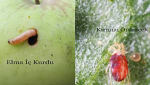 Elbistan Tarım ve Orman Müdürlüğünden çiftçilere önemli duyuru!