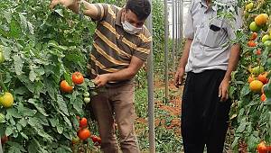 İl Tarım Müdürlüğü Ekipleri Sahada 