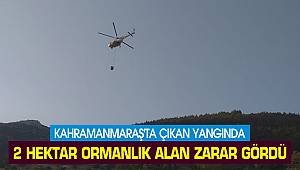 Kahramanmaraş'ta çıkan yangında 2 hektar ormanlık alan zarar gördü
