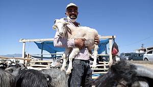 Kahramanmaraş'ta hayvan pazarında yoğunluk 