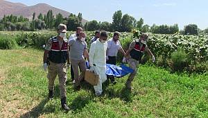 Kahramanmaraş'ta kaybolan engellinin cesedi ayçiçeği tarlasında bulundu 