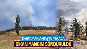 Kahramanmaraş'ta merada çıkan yangın söndürüldü
