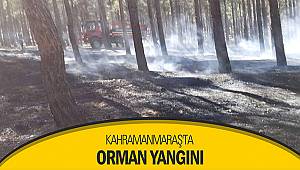 Kahramanmaraş'ta orman yangını