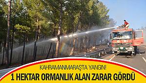 Kahramanmaraş'ta Yangın!