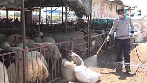 Kurban Bayramı dolayısıyla ilaçlama çalışmaları aralıksız devam ediyor
