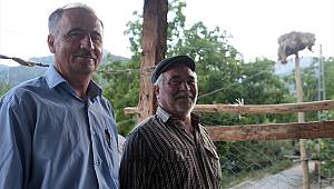 Misafir ettikleri leyleklerin rahatı için her şeyi düşünüyorlar 