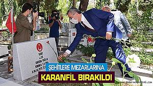 Şehit mezarlarına Karanfil bırakıldı 