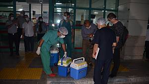 Trafik kazasında beyin ölümü gerçekleşen kadının organları 3 kişiye umut oldu 