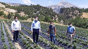 Üretim Kontrol Altında 