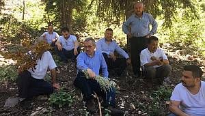 Yaylalarımızı turizme kazandırmak için gayret ediyoruz 