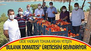 Dede yadigarı tohumlardan yetişen 