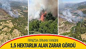 Fırnız’da orman yangını