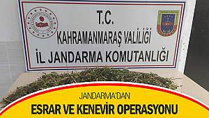 Jandarma’dan esrar ve kenevir operasyonu