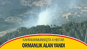 Kahramanmaraş'ta 4 hektar ormanlık alan yandı