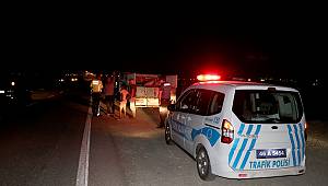 Kahramanmaraş'ta otomobilin çaptığı hayvanlar telef oldu 