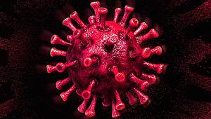 Koronavirüs Hakkında Çıkan Haber Sayısı 34 Milyonu Aştı 