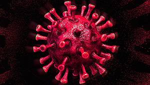 Koronavirüs Hakkında Çıkan Haber Sayısı 37 Milyonu Aştı 