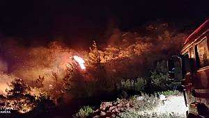 Makilik alanda çıkan yangın kontrol altına alındı 