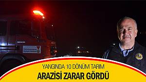 Yangında 10 dönüm tarım arazisi zarar gördü