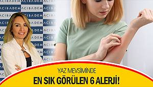 Yaz mevsiminde en sık görülen 6 alerji! 